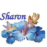 sharon/sharon-374769
