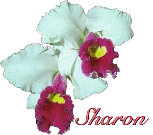 sharon/sharon-791710