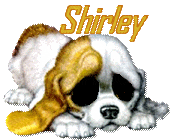 shirley/shirley-330940