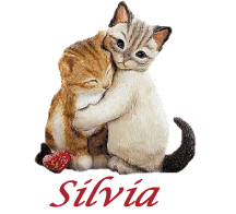 silvia/silvia-302061