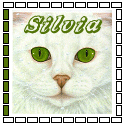 silvia/silvia-485551