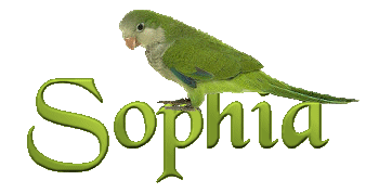 sophia/sophia-071626