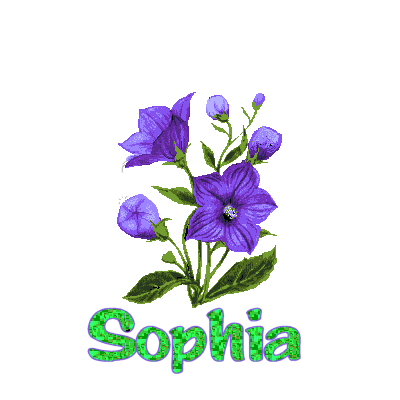 sophia/sophia-893804