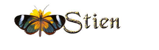 stien/stien-249099