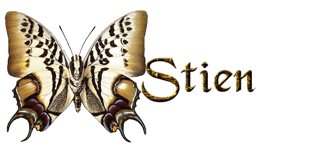 stien/stien-989894