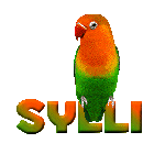 sylli/sylli-206589