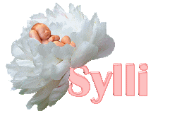 sylli/sylli-245855