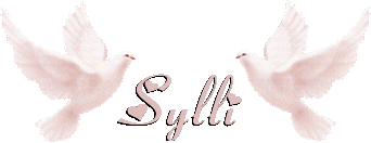 sylli/sylli-599478