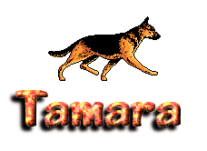 tamara/tamara-499352