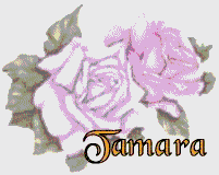 tamara/tamara-569713
