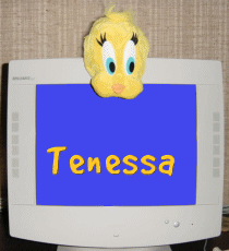 tenessa/tenessa-071121