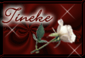 tineke/tineke-364262
