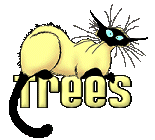 trees/trees-662635