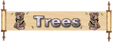 trees/trees-691690