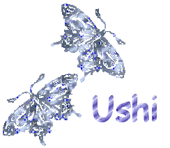 ushi/ushi-479244