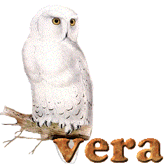 vera/vera-086673
