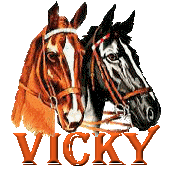 vicky/vicky-858620