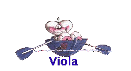 viola/viola-166142