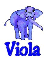 viola/viola-662360