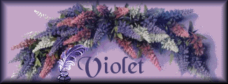 violet/violet-831897