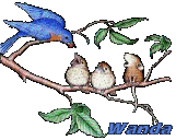 wanda/wanda-791018