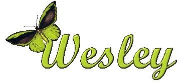 wesley/wesley-590948
