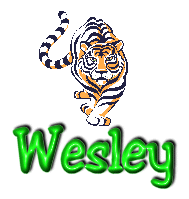 wesley/wesley-698539