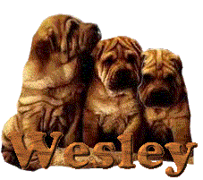 wesley/wesley-984364