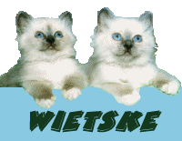 wietske/wietske-313290