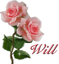will/will-100112