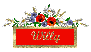 willy/willy-793500