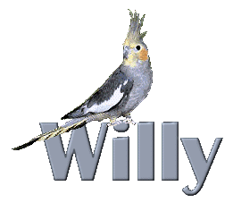willy/willy-967410