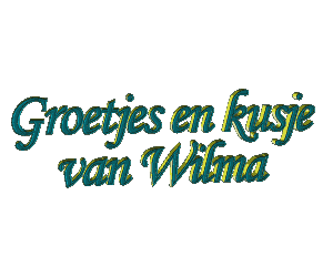 wilma/wilma-290445