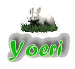 yoeri/yoeri-480163