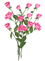 Bouque_of_pink_rosses