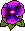 Pansy_small_2