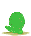 Cactus_and_flower