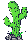 Cactus_shakes_it