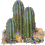 Cactus_with_eyes