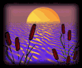 Sunrise_pond