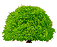 Tree_seasons