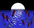 Moonrise_pond