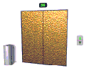 Elevator_door