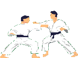 Judo_match