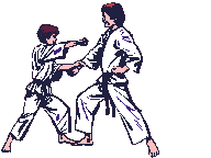 Karate_match_2