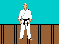 Karate_tehnique