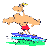 Surfer_3