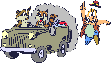 Racoons_drive